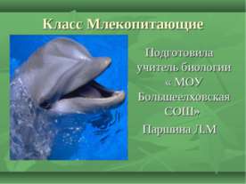 Класс Млекопитающие