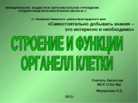 Строение и функции органелл клетки