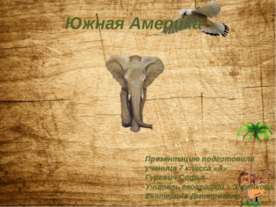 Население Южной Америки 7 класс