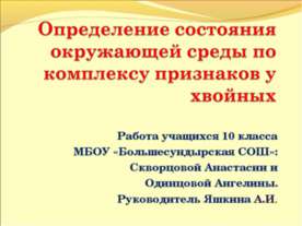 Определение состояния окружающей среды по комплексу признаков у хвойных