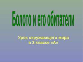 Болото и его обитатели