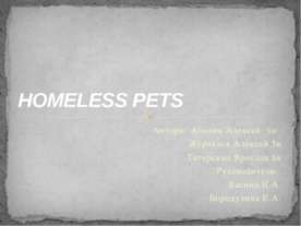 Homeless Pets
