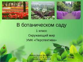 В ботаническом саду
