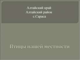 Птицы нашей местности