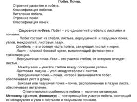 Побег. Почка