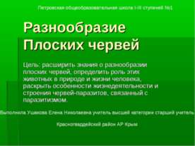 Разнообразие Плоских червей