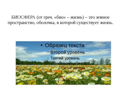 Распространение организмов на земле. Распространение организмов — иллюстрация 2