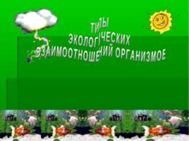 Типы экологических взаимоотношений