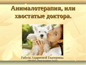 Анималотерапия, или хвостатые доктора