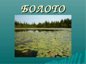Болото 3 класс