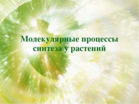 Молекулярные процессы синтеза у растений