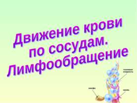 Движение крови по сосудам. Лимфообращение