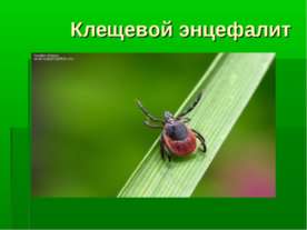 Клещевой энцефалит