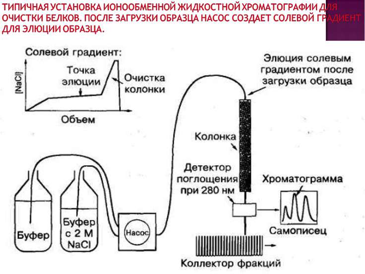 Газовая и жидкостная хроматография презентация