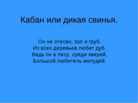 Кабан или дикая свинья