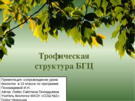 Трофическая структура БГЦ