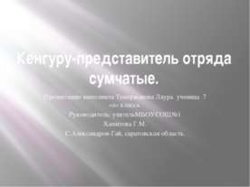Кенгуру - представитель отряда сумчатые