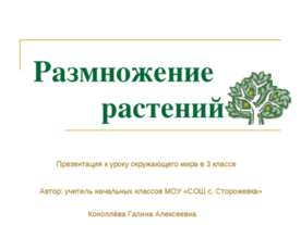 Размножение растений
