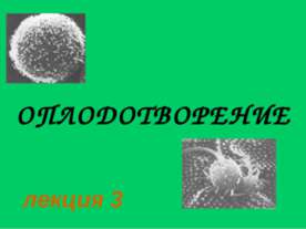 Оплодотворение