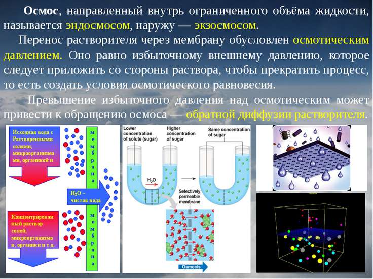 Презентация на тему осмос