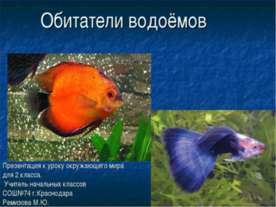 Обитатели водоёмов