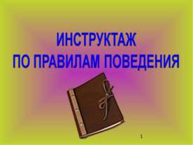 Инструктаж по правилам поведения