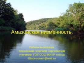 Амазонская низменность