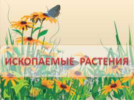 Ископаемые растения