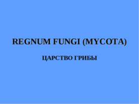 REGNUM FUNGI (MYCOTA) ЦАРСТВО ГРИБЫ