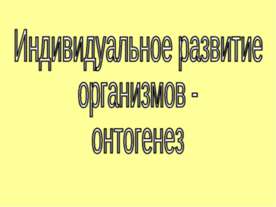 Индивидуальное развитие организмов - онтогенез
