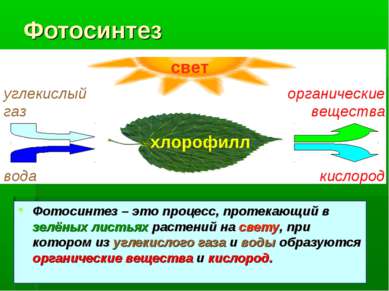 при фотосинтезе кислород образуется в результате моделирование