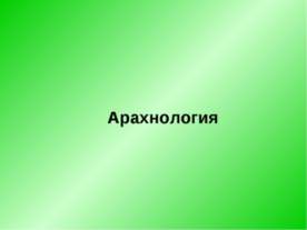 Арахнология