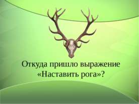 Откуда пришло выражение «Наставить рога» ?