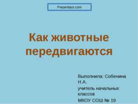 Как животные передвигаются