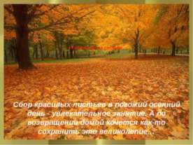 Аппликация из листьев