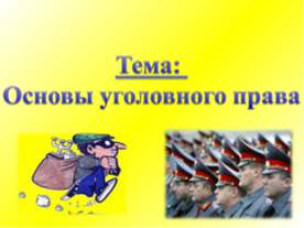 Основы уголовного права
