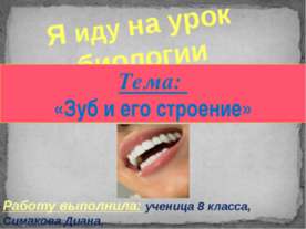 Зуб и его строение