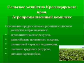 Сельское хозяйство Краснодарского края. Агропромышленный комплекс