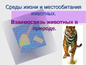 Взаимосвязь животных в природе