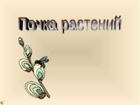Почка растений