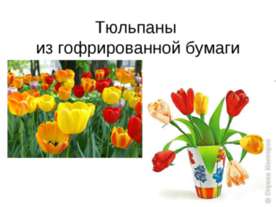 Тюльпаны из гофрированной бумаги