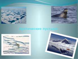 Арктические пустыни