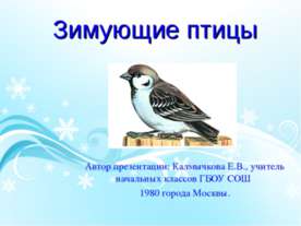 Зимующие птицы 1 класс