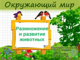 Размножение и развитие животных 2 класс