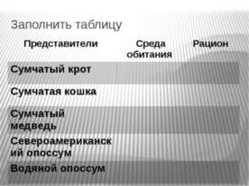 Рукокрылые
