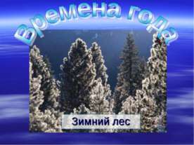 Времена года. Зимний лес