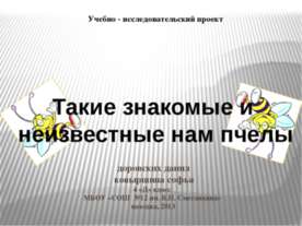 Такие знакомые и неизвестные нам пчелы