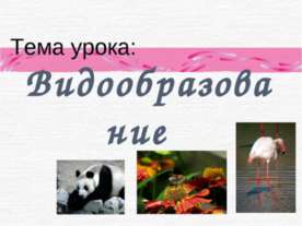 Видообразование