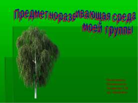 Предметно-развивающая среда