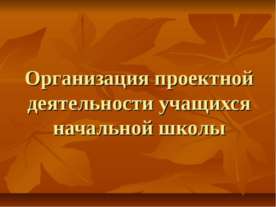 Организация проектной деятельности учащихся начальной школы